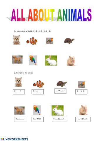 All about animals