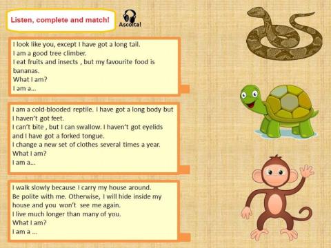 Riddles about animals 1