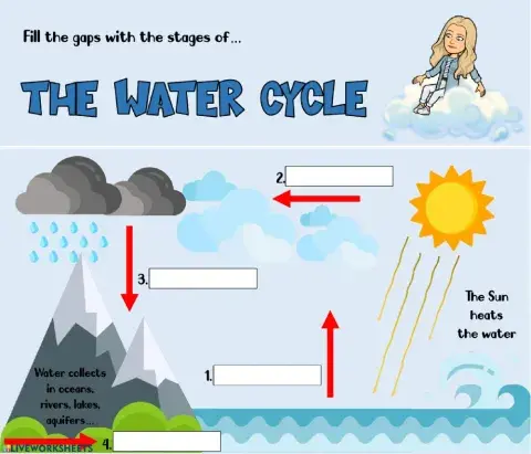 The Water Cycle