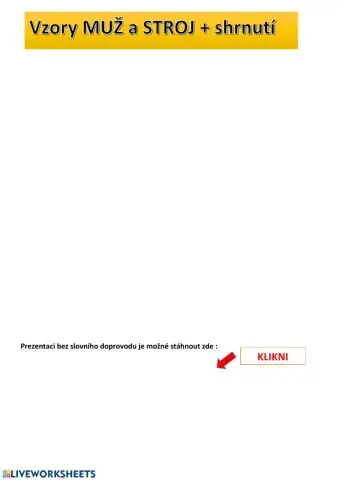 Skloňování vzoru MUŽ a STROJ