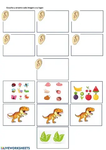 Carnivores and Herbivores