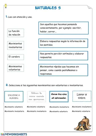 La función de relación