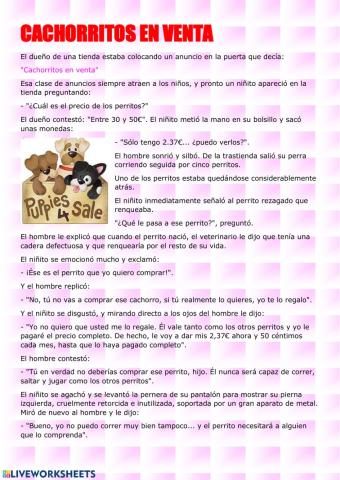 Cachorritos en Venta