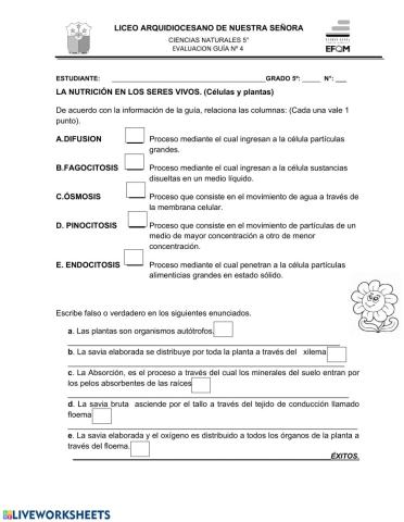 Nutrición en los seres vivos