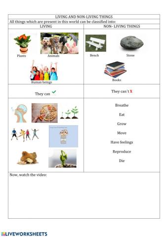 Living and non-living things