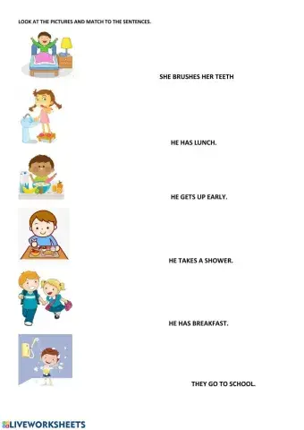 What do you do every day?