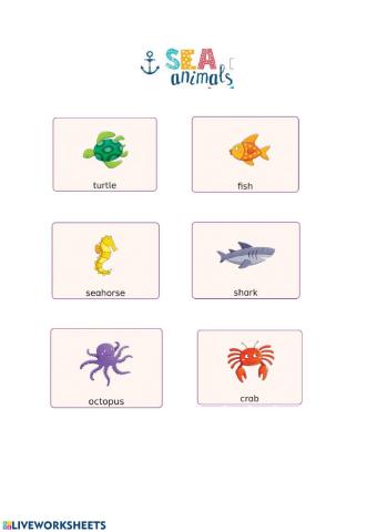 Sea Animals1