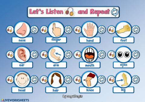 2.7. Body Parts - Let's Listen and Repeat