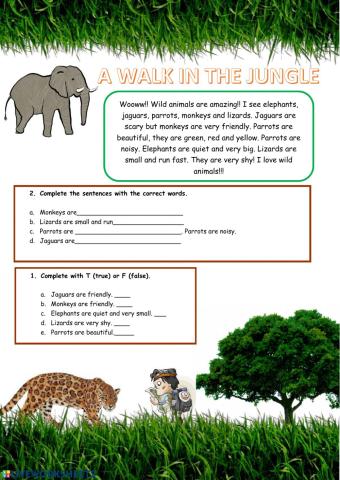 A Walk in the Jungle