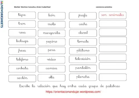 ¿Qué característica tienen en común?