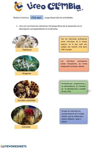 Relaciones intraespecificas