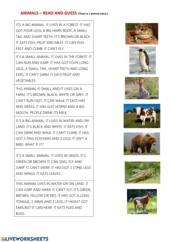 Animals - reading comprehension