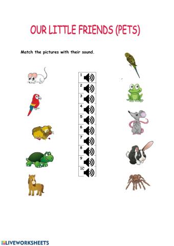 Listening pets vocabulary