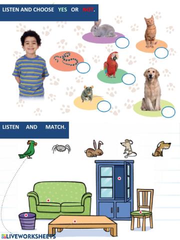 Pets-have got-prepositions