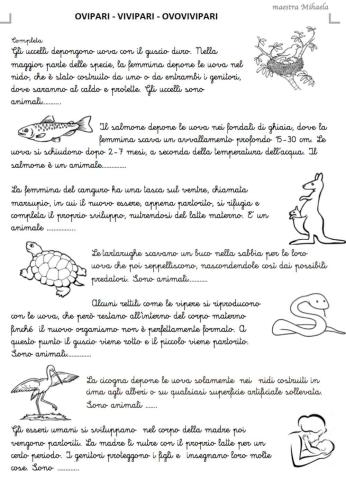 La riproduzione degli animali