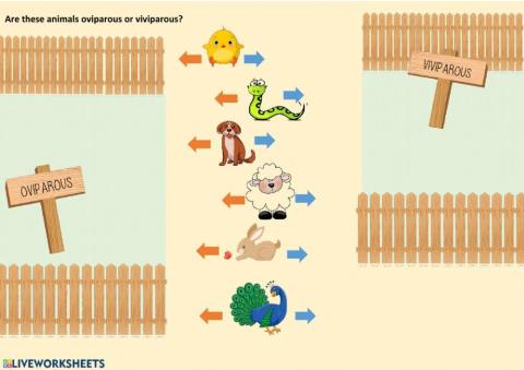 Oviparous and viviparous