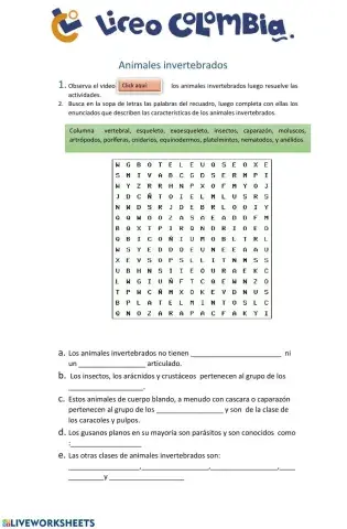 Animales invertebrados