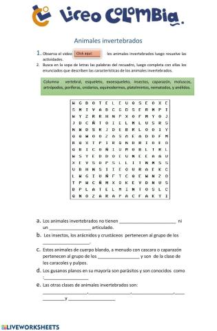 Animales invertebrados