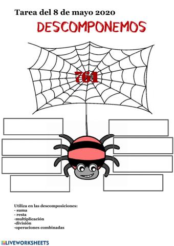 araña 3º