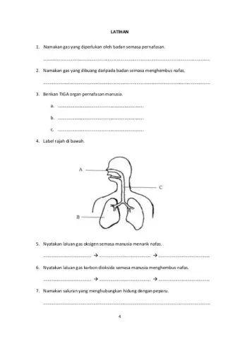Sains Tahun 4 (Pernafasan Manusia)