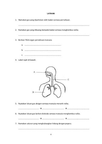 Sains Tahun 4 (Pernafasan Manusia)