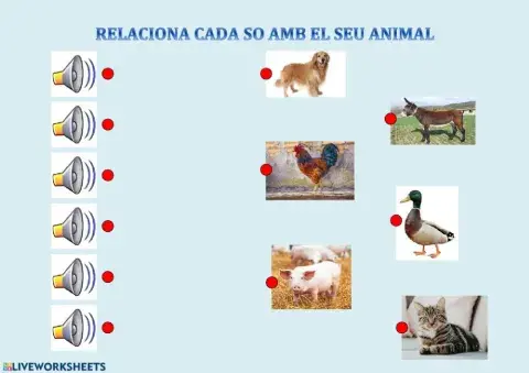 Relaciona so i animal