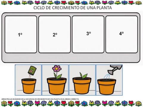 SECUENCIA CRECIMIENTO DE PLANTA