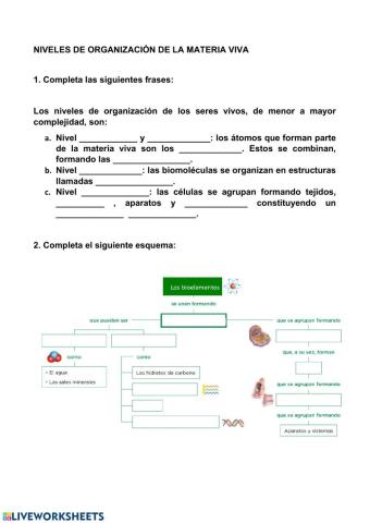 Niveles de organización de la materia viva