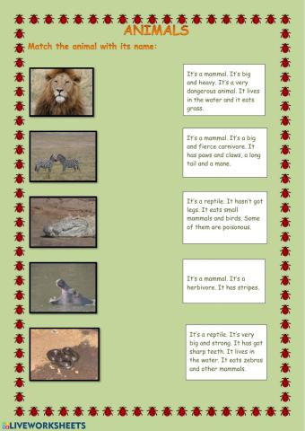 Match animals and definitions