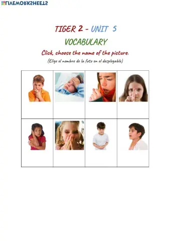 Tiger 2 Unit 5 Vocabulary Display