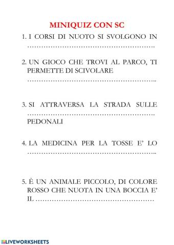 Miniquiz con SC