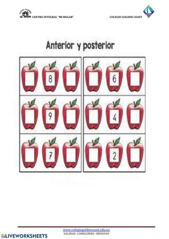 Anterior y posterior