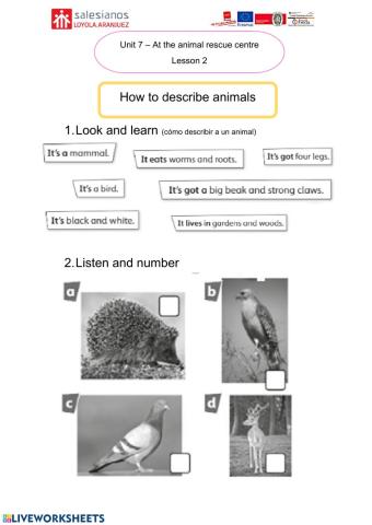 Lesson 2 Unit 7 English 5º
