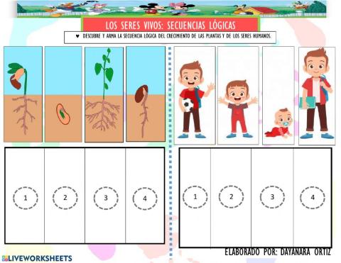 Seres vivos: Secuencias lógicas