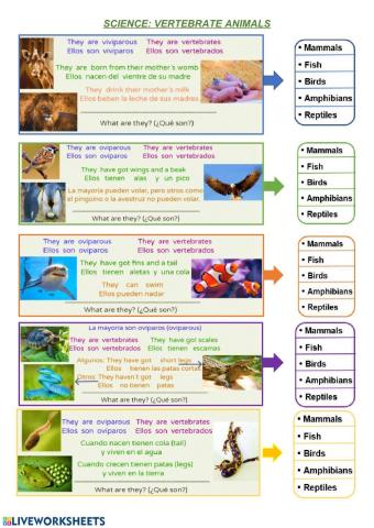 Vertebrate animals