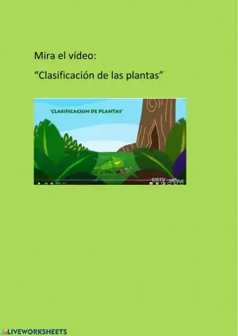 Clasificacion de las plantas