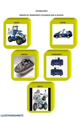 vocabulario transporte policia