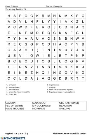 Bsenior Wordsearch23