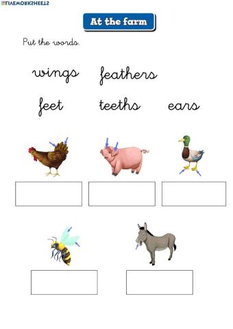 Farm vocabulary write