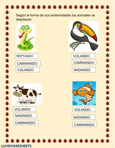 Desplazamiento de los animales