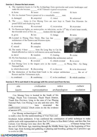 E11-U8-Worksheet