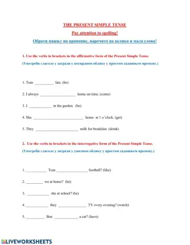 The Present Simple Tense