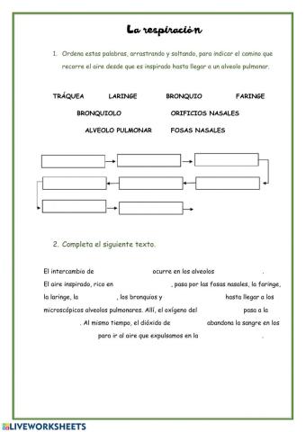 La respiración