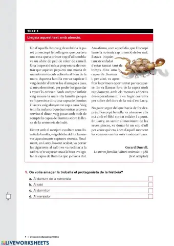 Competències bàsiques 2009-10 CATALÀ