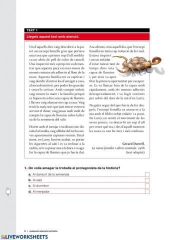 Competències bàsiques 2009-10 CATALÀ