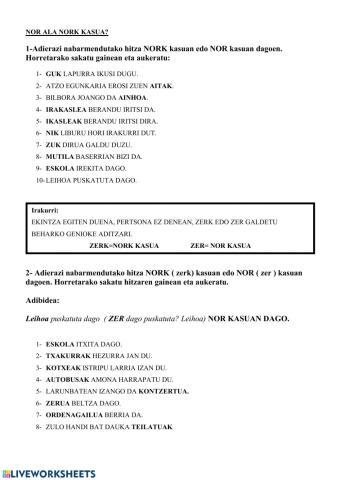Nor edo nork kasuak