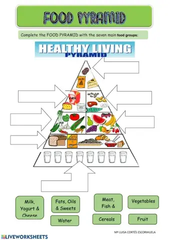 Food Pyramid