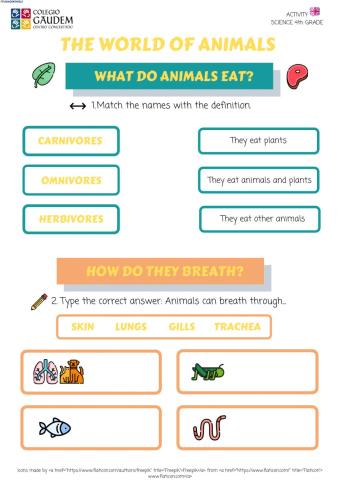 ACTIVITY THE WORLD OF ANIMALS