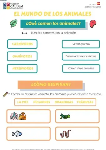 ACTIVIDAD EL MUNDO DE LOS ANIMALES