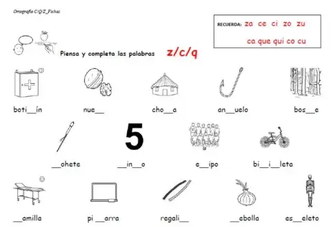 Escribe c, q o z donde corresponda